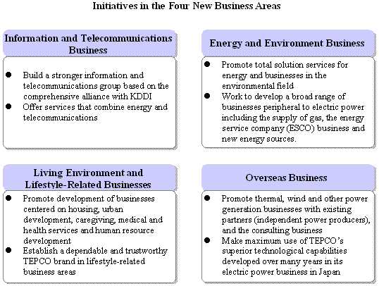 Initiatives in the Four New Business Areas
