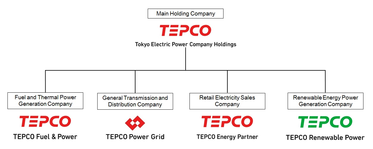 Tokyo Electric Power Company Holdings Organization