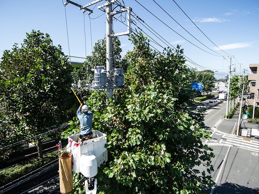 low voltage power lines