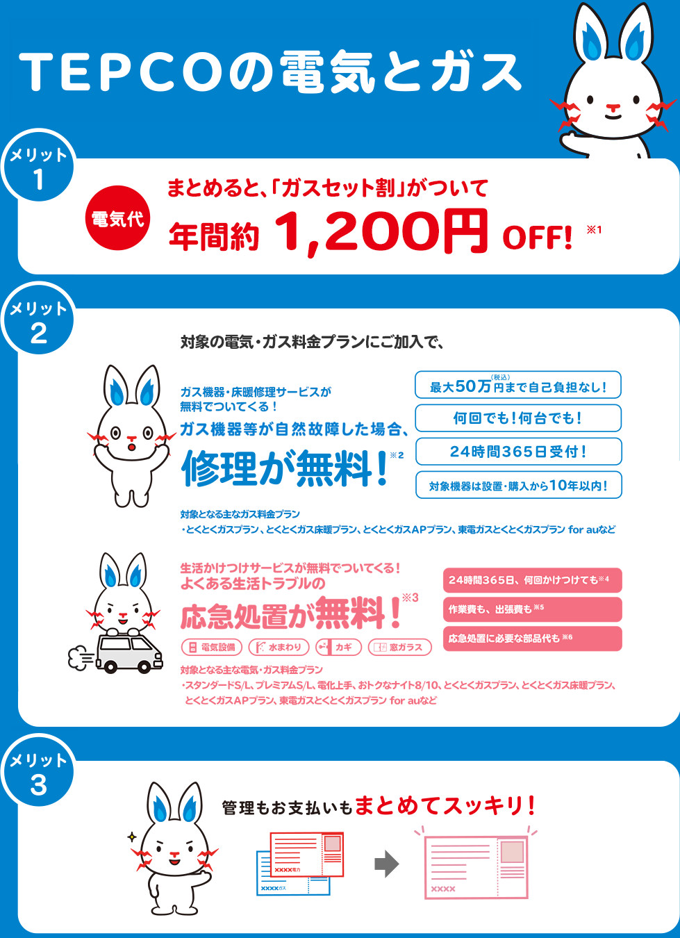 まとめれば、おトクも安心もついてくる!TEPCOの電気とガズ