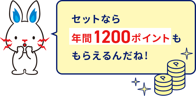 セットなら年間1200ポイントももらえるんだね!