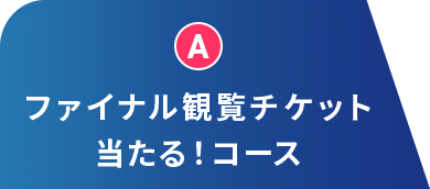 A ファイナル観覧チケット当たる！コース