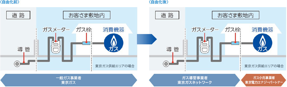 自由化前後の定期調査