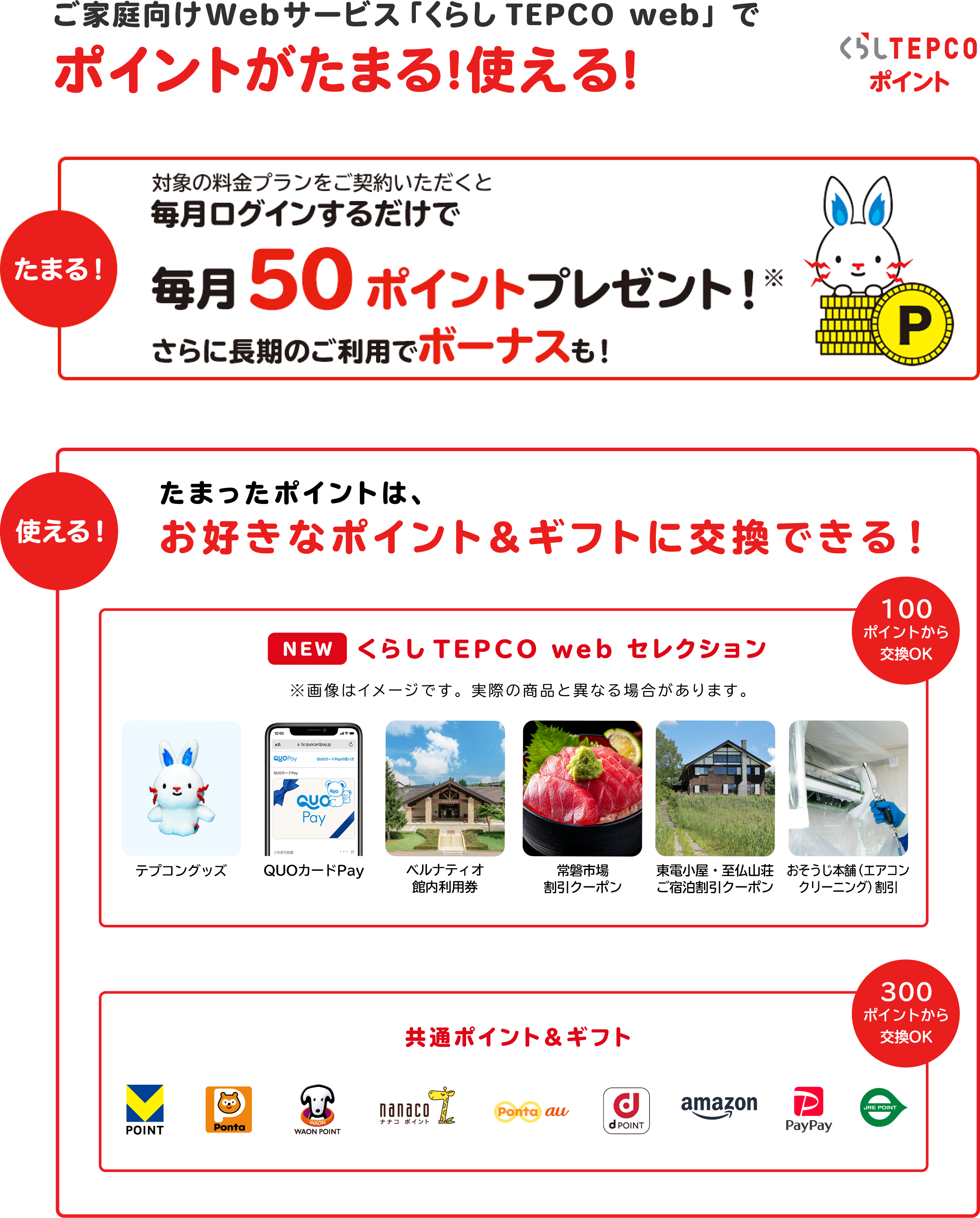 ご家庭向けWebサービス「くらしTEPCOweb」でポイントが貯まる！使える！