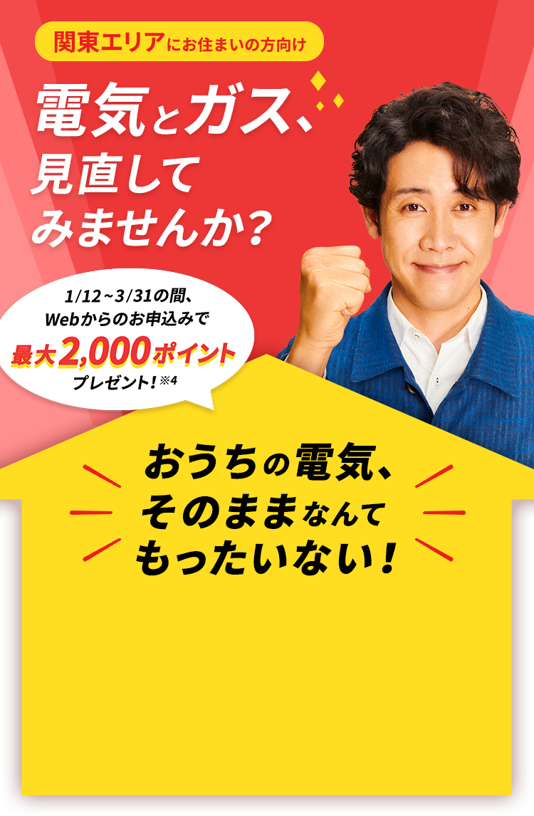 電気とガスを東京電力にまとめると もっとおトクになる キャンペーン 東京電力エナジーパートナー株式会社