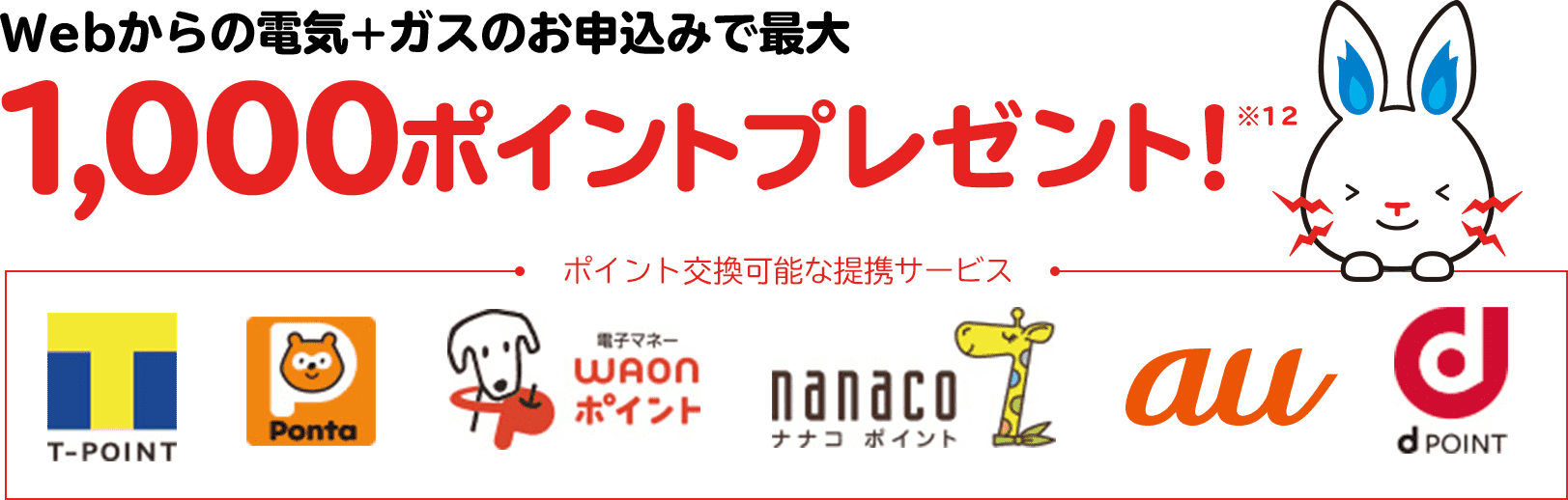 Webからの電気+ガスのお申込みで最大1,000ポイントプレゼント!※5