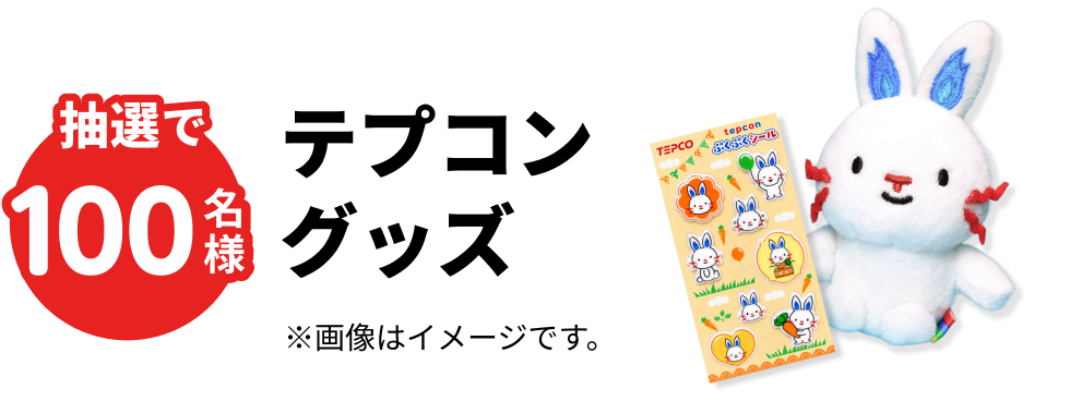 抽選で100名様 テプコングッズ