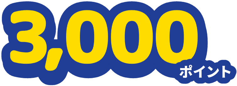 3,000ポイント