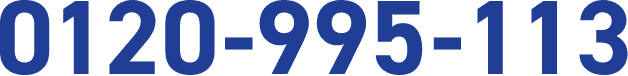 0120-995-113