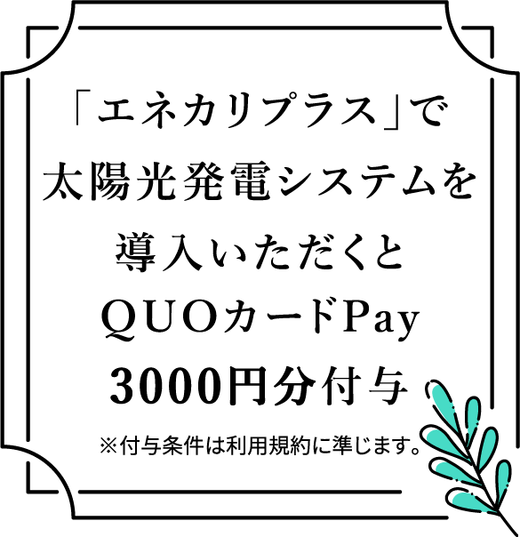 「エネカリプラス」で太陽光発電システムを導入いただくとQUOカードPayd3000円分付与 ※付与条件は利用規約に準じます。