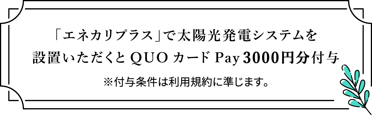 「エネカリプラス」で太陽光発電システムを導入いただくとQUOカードPay3000円分付与 ※付与条件は利用規約に準じます。