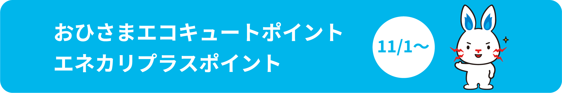 おひさまエコキュートポイント エネカリプラスポイント