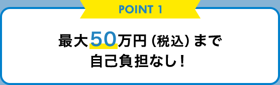 POINT 1 最大50万円（税込）まで自己負担なし！