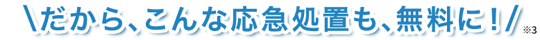 だから、こんな応急処置も、無料に！※3