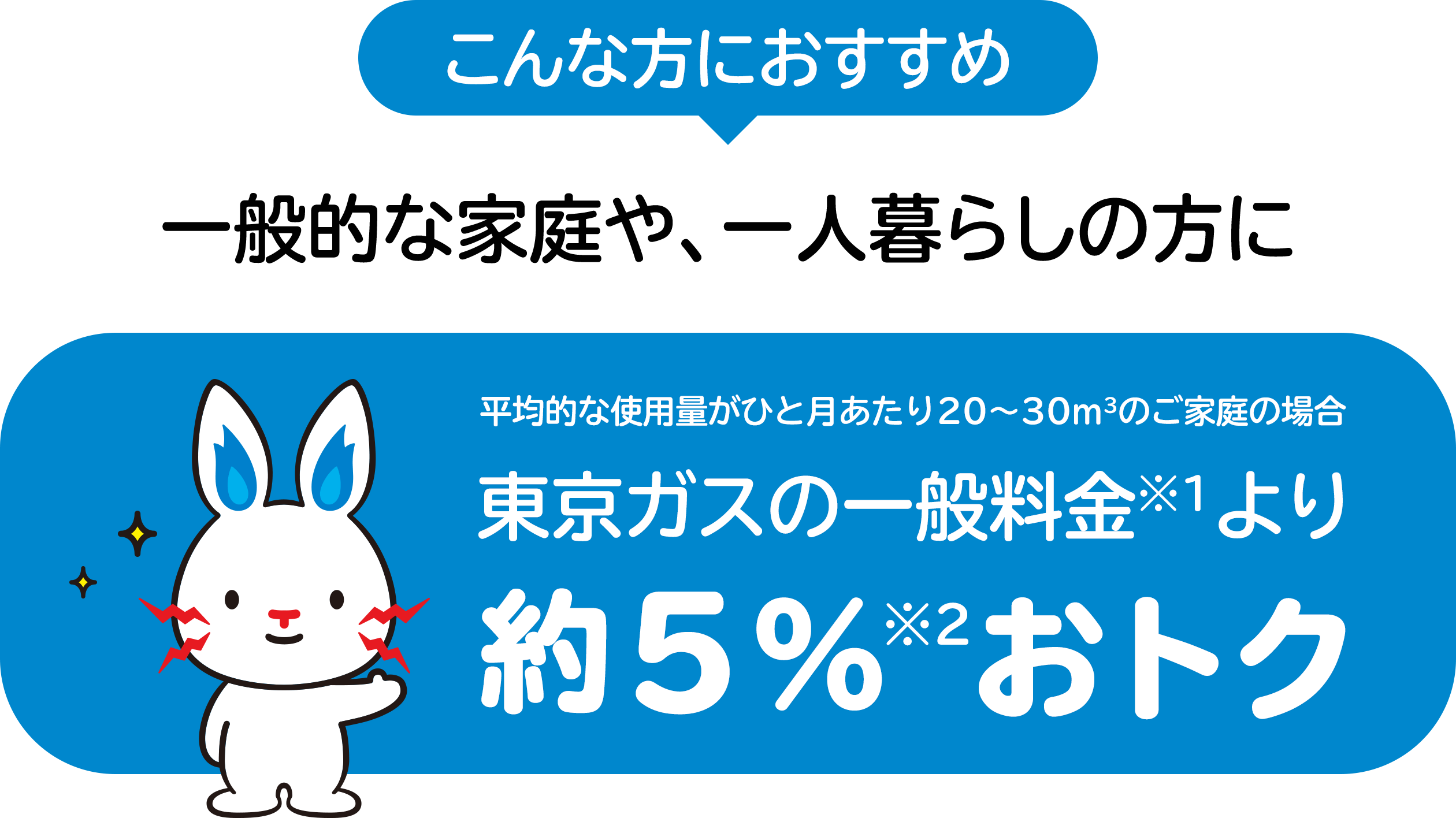 こんな方におすすめ　一般的な家庭や、一人暮らしの方に　東京ガスの一般料金※1より約5%おトク※2