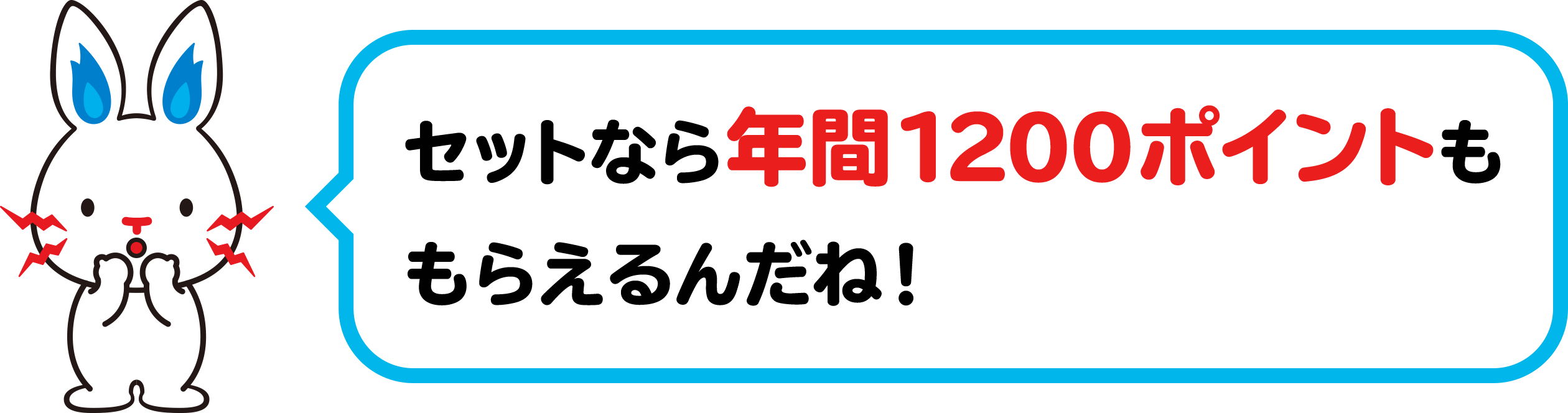 セットなら年間1200ポイントももらえるんだね！