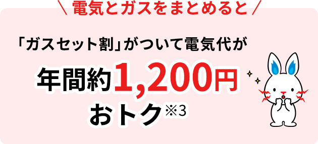 お引越しが決まったら お引越しの手続き 東京電力エナジーパートナー株式会社