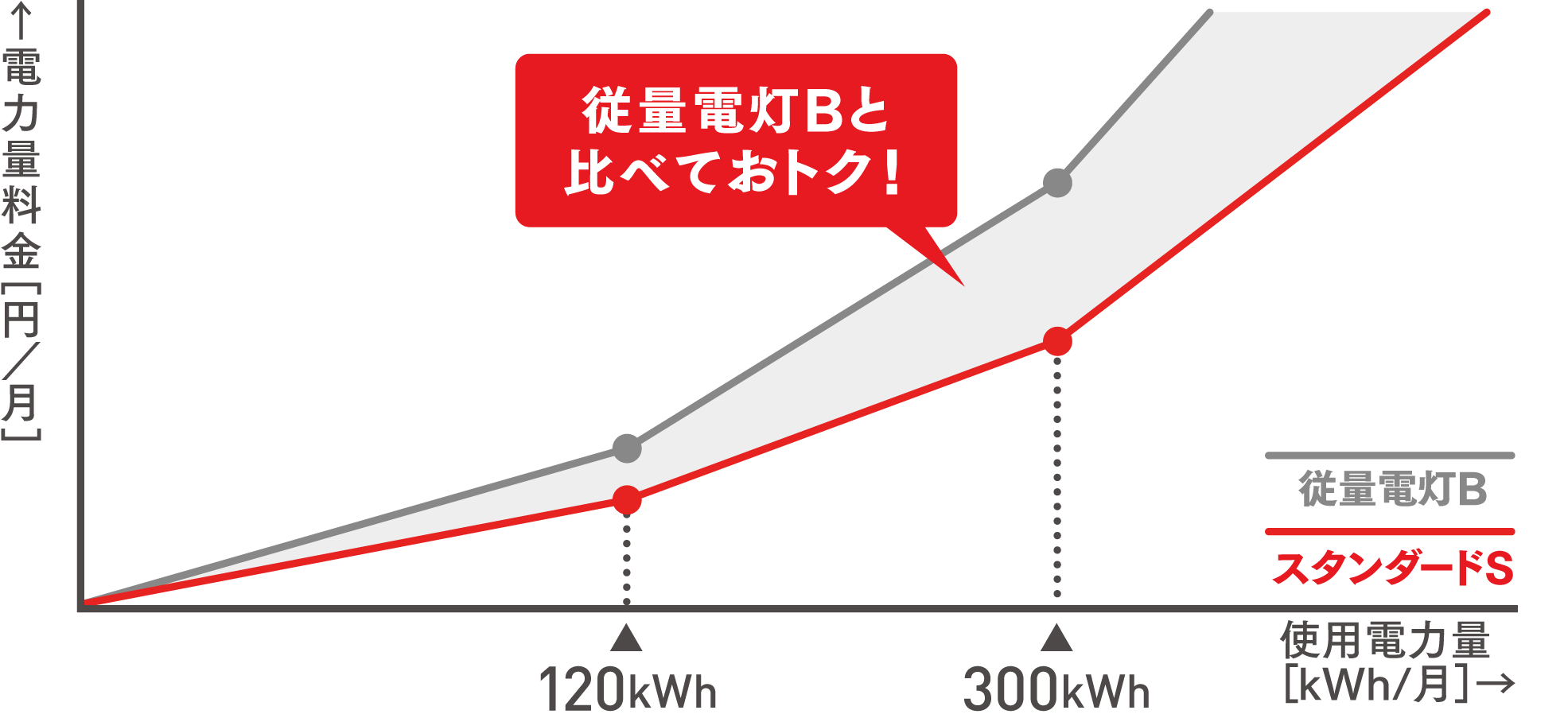 スタンダードSの特徴