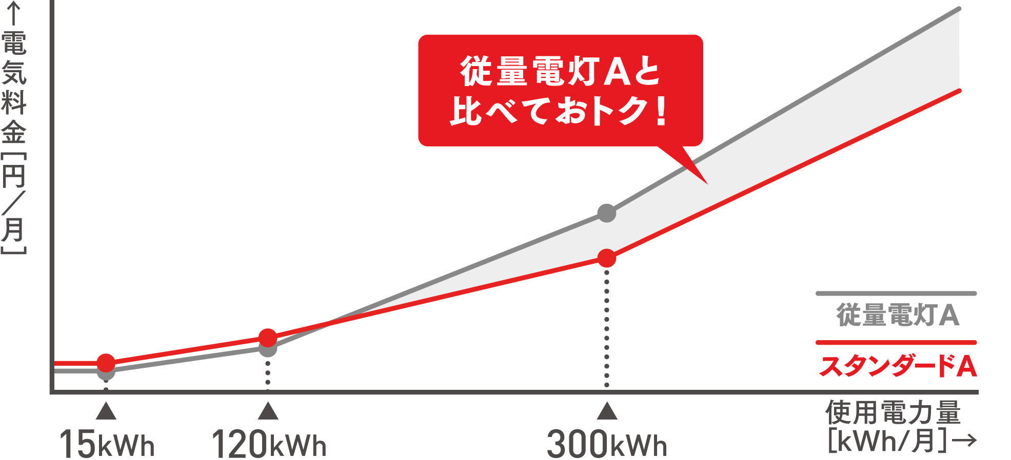 スタンダードAの特徴