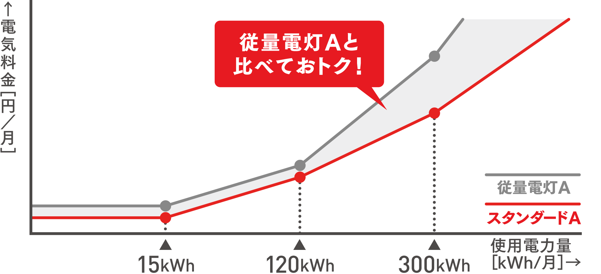 スタンダードAの特徴