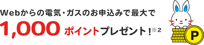 webからの電気・ガスのお申込みで最大で1,000ポイントプレゼント！