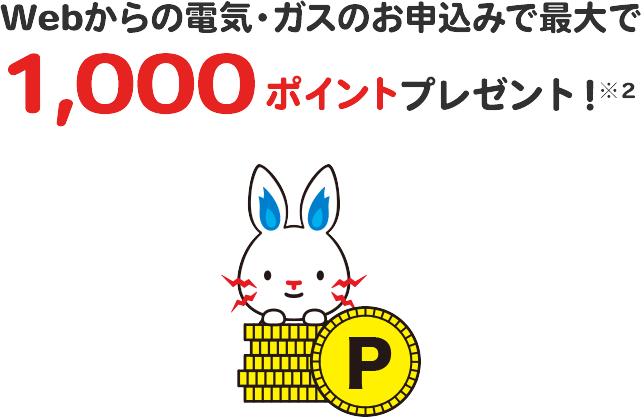 Webからの電気・ガスのお申込みで最大で1,000ポイントプレゼント！