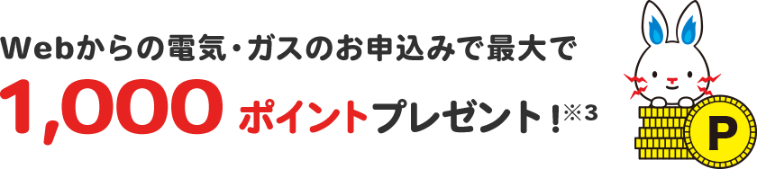 Webからのお申し込みで1000ポイントプレゼント!
