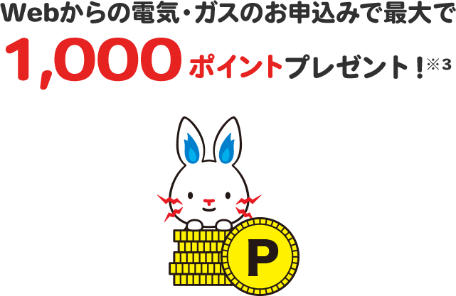 Webからのお申し込みで1000ポイントプレゼント!