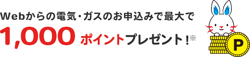 webからの電気・ガスのお申込みで最大で1,000ポイントプレゼント!