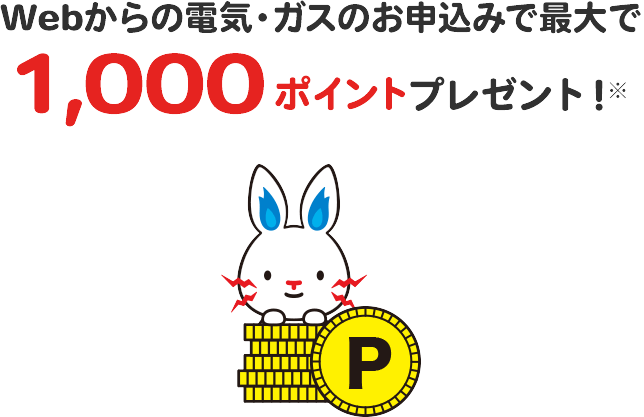 Webからの電気・ガスのお申込みで最大で1,000ポイントプレゼント！