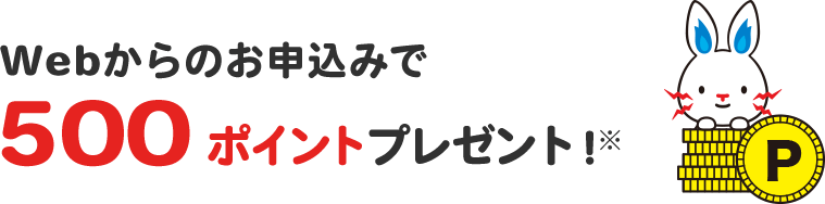 Webからのお申し込みで500ポイントプレゼント!