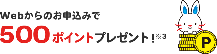 Webからのお申し込みで500ポイントプレゼント!