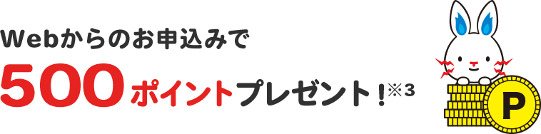 Webからのお申し込みで500ポイントプレゼント！