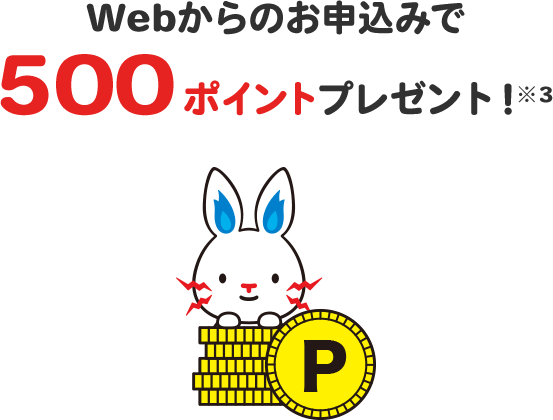 Webからのお申し込みで500ポイントプレゼント!