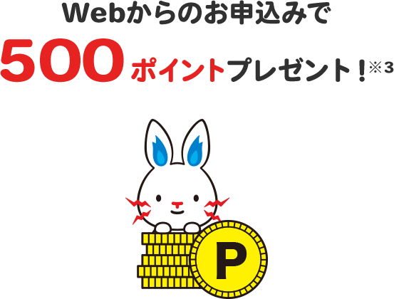 Webからのお申し込みで500ポイントプレゼント！