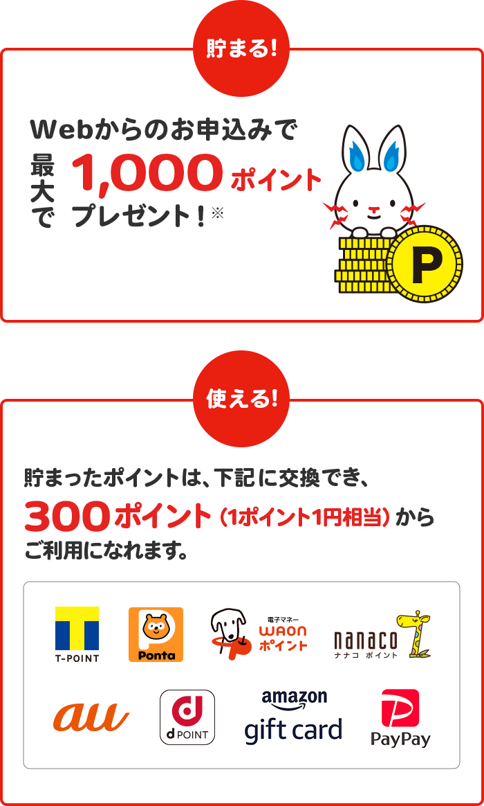 Webからの電気・ガスのお申込みで最大で1,000ポイントプレゼント！