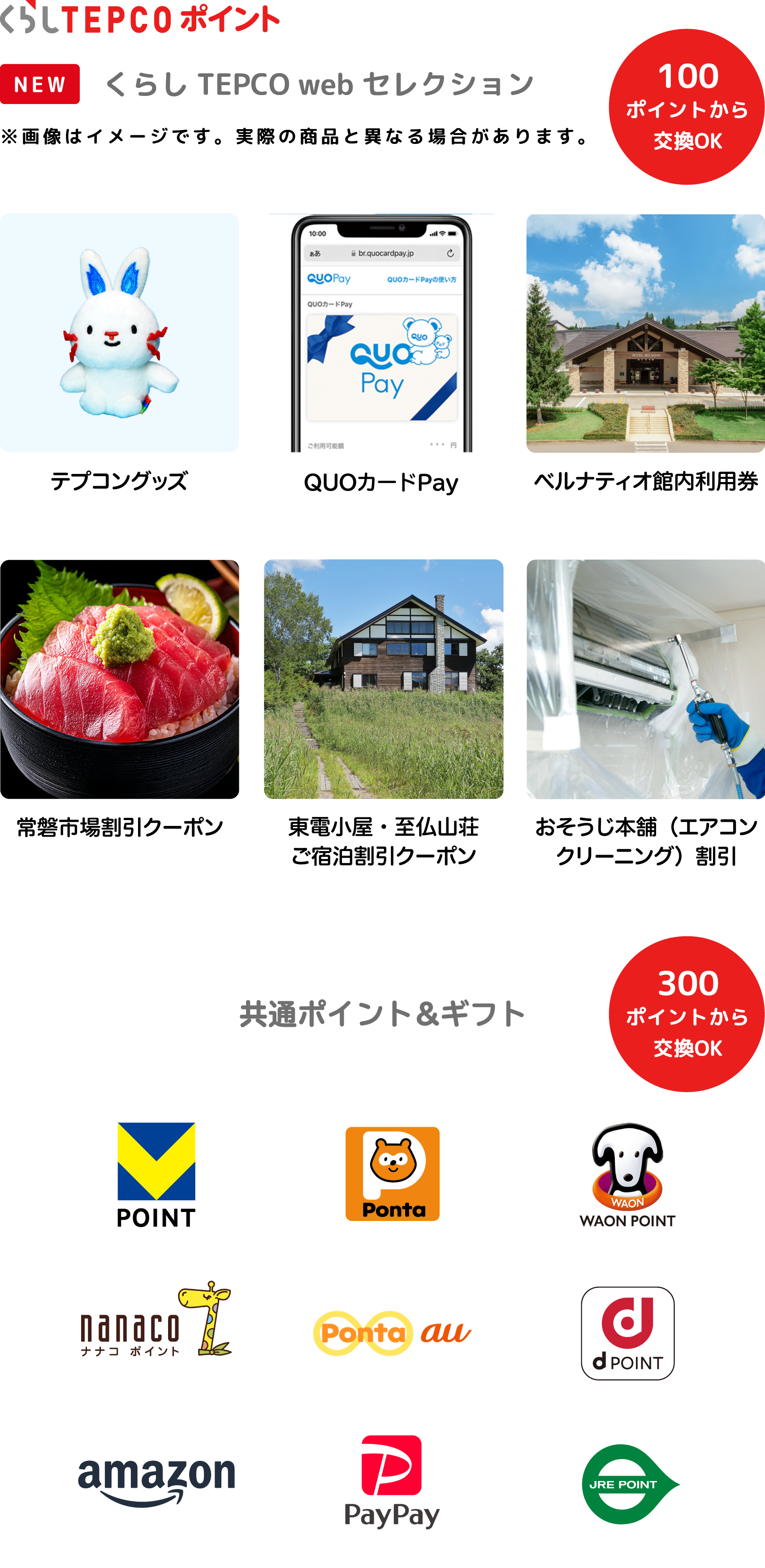 くらしTEPCOポイント（100ポイントから交換OK）くらしTEPCO web セレクション：テプコングッズ、ベルナティオ館利用権、常磐市場割引クーポン、東電小屋・至仏山荘ご宿泊割引クーポン、おそうじ本舗エアコンクリーニング割引 / 共通ポイント＆ギフト（300ポイントから交換OK）：T-POINT Ponta WAONポイント nanaco au d POINT amazonギフト券 PayPay JRE POINT