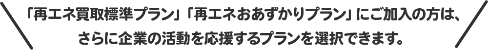 「再エネ買取標準プラン」「再エネおあずかりプラン」にご加入の方は、さらに企業の活動を応援するプランを選択できます。