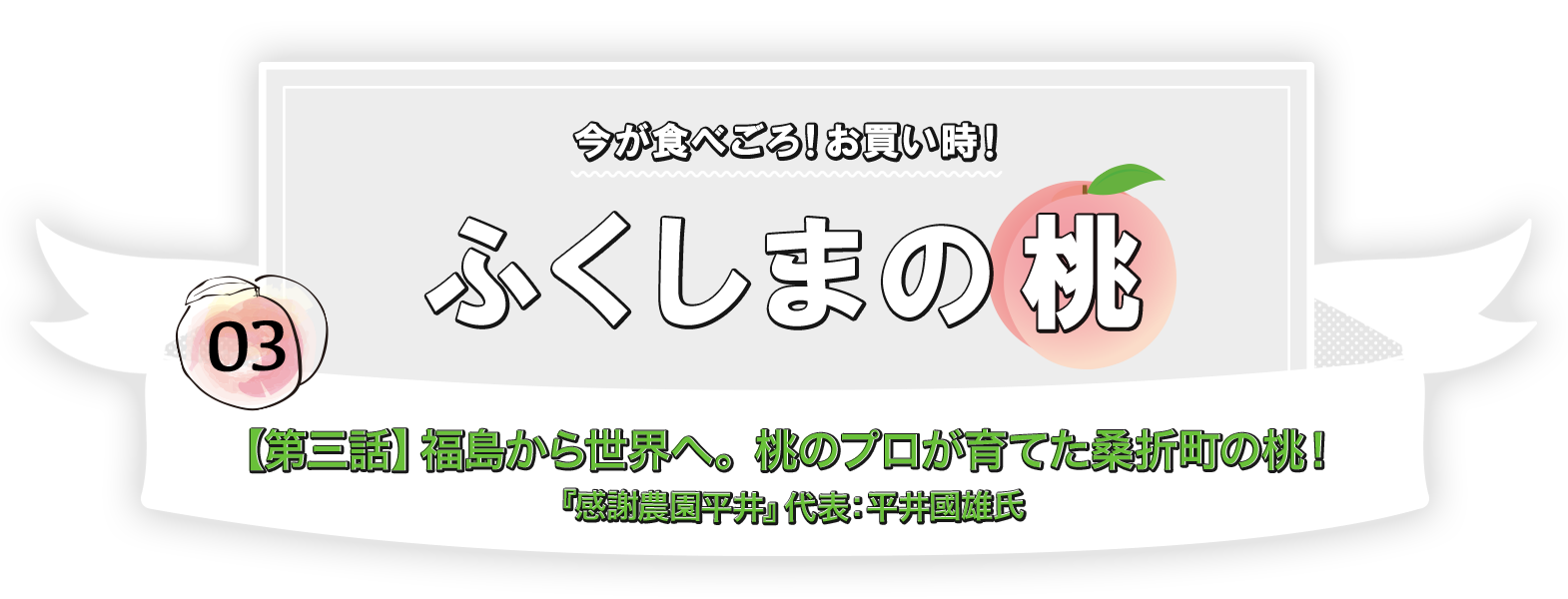 今が食べごろ！お買い時！ふくしまの桃【第三話】福島から世界へ。桃のプロが育てた桑折町の桃！『感謝農園平井』代表：平井國雄氏