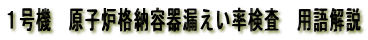 １号機　原子炉格納容器漏えい率検査　用語解説
