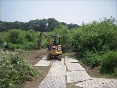 柳等の除去作業