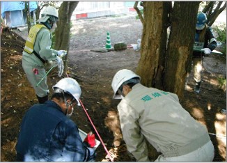 [フォローアップ]除染中の線量確認状況(１)