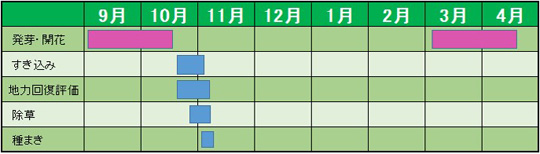 今後の予定