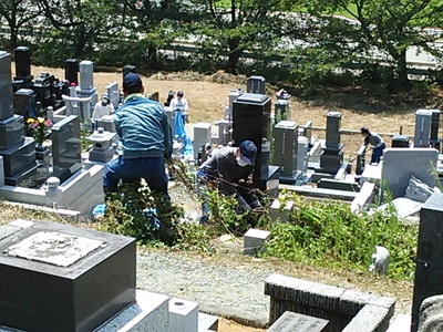 墓地除草・清掃の様子