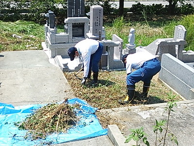 墓地除草・清掃の様子