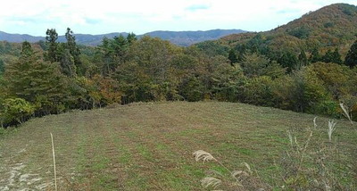 除草作業後の様子 [平成26年10月撮影]