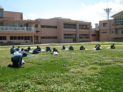 除草の様子[2015年５月21日撮影]