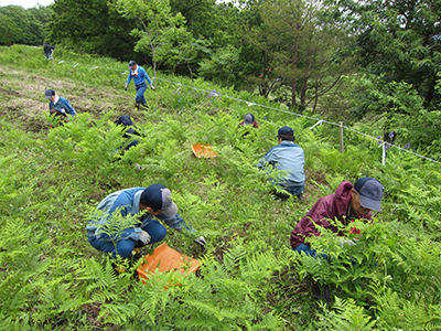 除草の様子[2015年６月８日撮影]