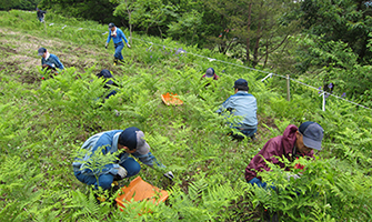 三株山わらび園の再生に向けた園内の除草