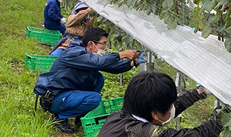 新たな特産品づくりに向けた営農活動のお手伝い